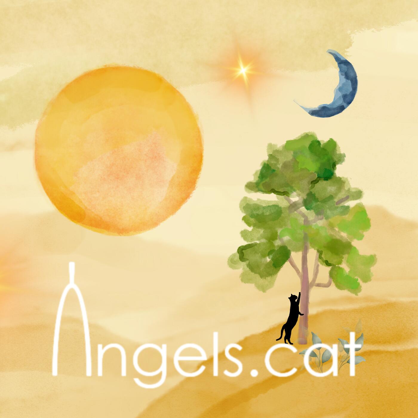 https://cdn.indiemusicreviews.net/images/a-catalonian-voice-echoing-beyond-the-silence-angels-cat-presents-a-fusion-of-rich-symphonies.jpg