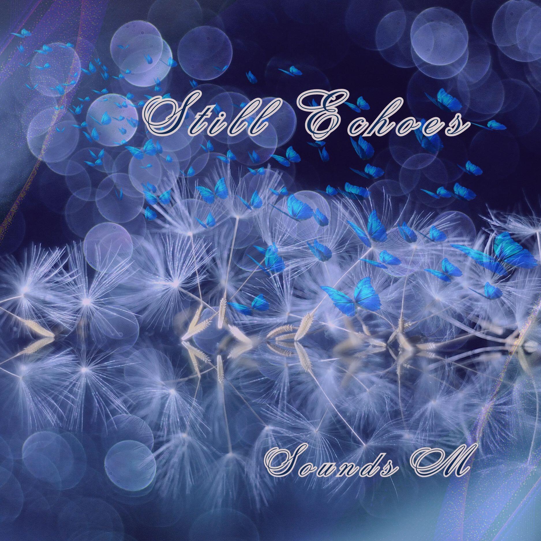 https://cdn.indiemusicreviews.net/images/a-desire-that-blooms-in-solitude-and-silence-the-enigmatic-melodies-of-still-echoes-by-sounds-m.jpg