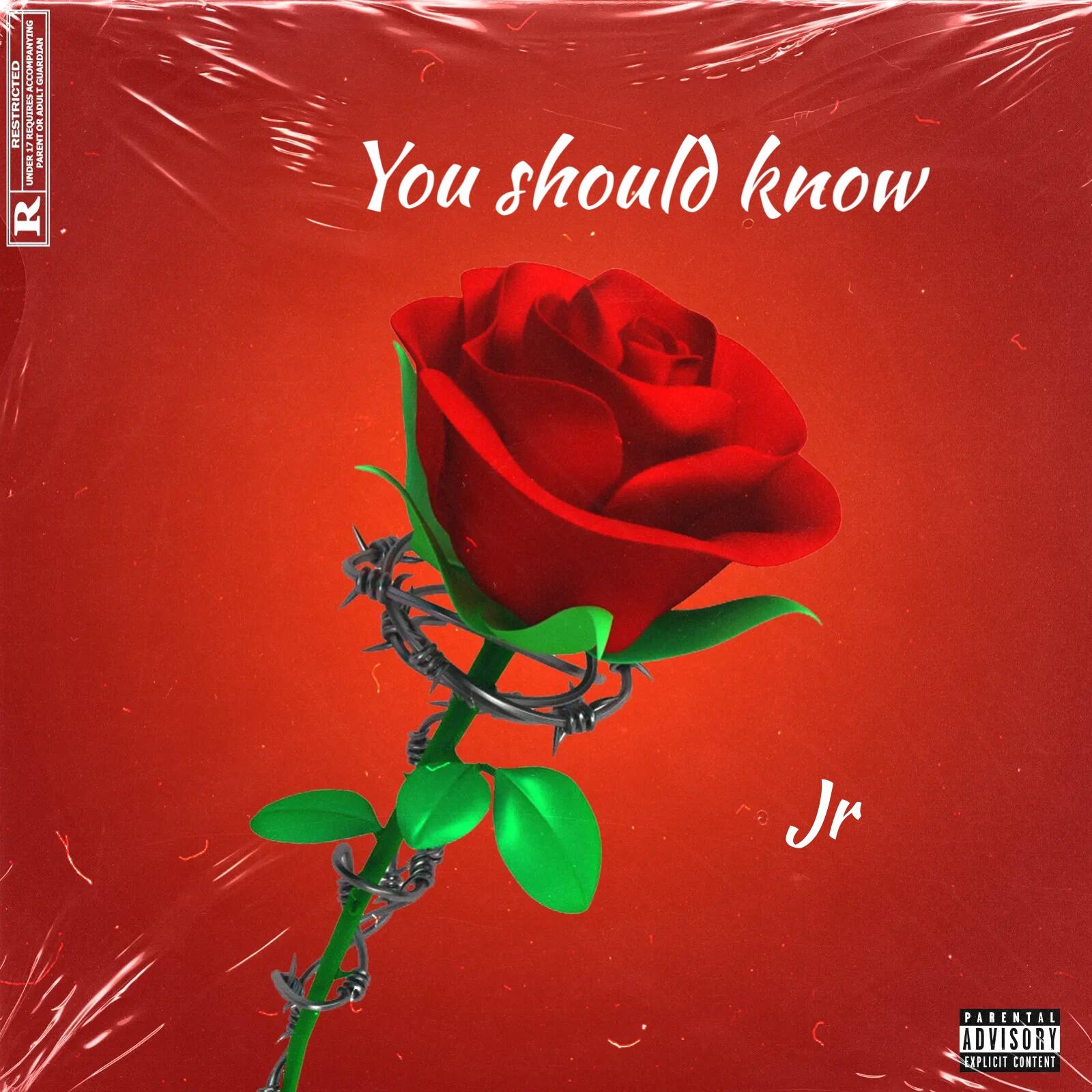 https://cdn.indiemusicreviews.net/images/a-voyage-of-colorful-rhythms-to-groove-to-without-halt-jr-stuns-fans-with-engaging-new-track-you-should-know.jpg