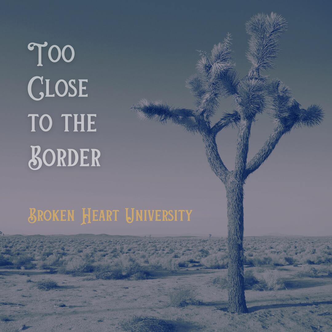 https://cdn.indiemusicreviews.net/images/an-all-american-experience-from-across-the-seas-americana-finds-a-new-light-in-a-new-album-by-broken-heart-university-2.jpg