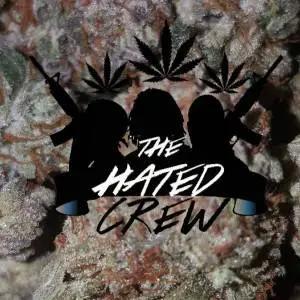 https://cdn.indiemusicreviews.net/images/analog-beats-presents-the-hated-crew.jpg