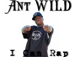 https://cdn.indiemusicreviews.net/images/ant-wilds-phat-beats-and-spitfire-rhymes.jpg