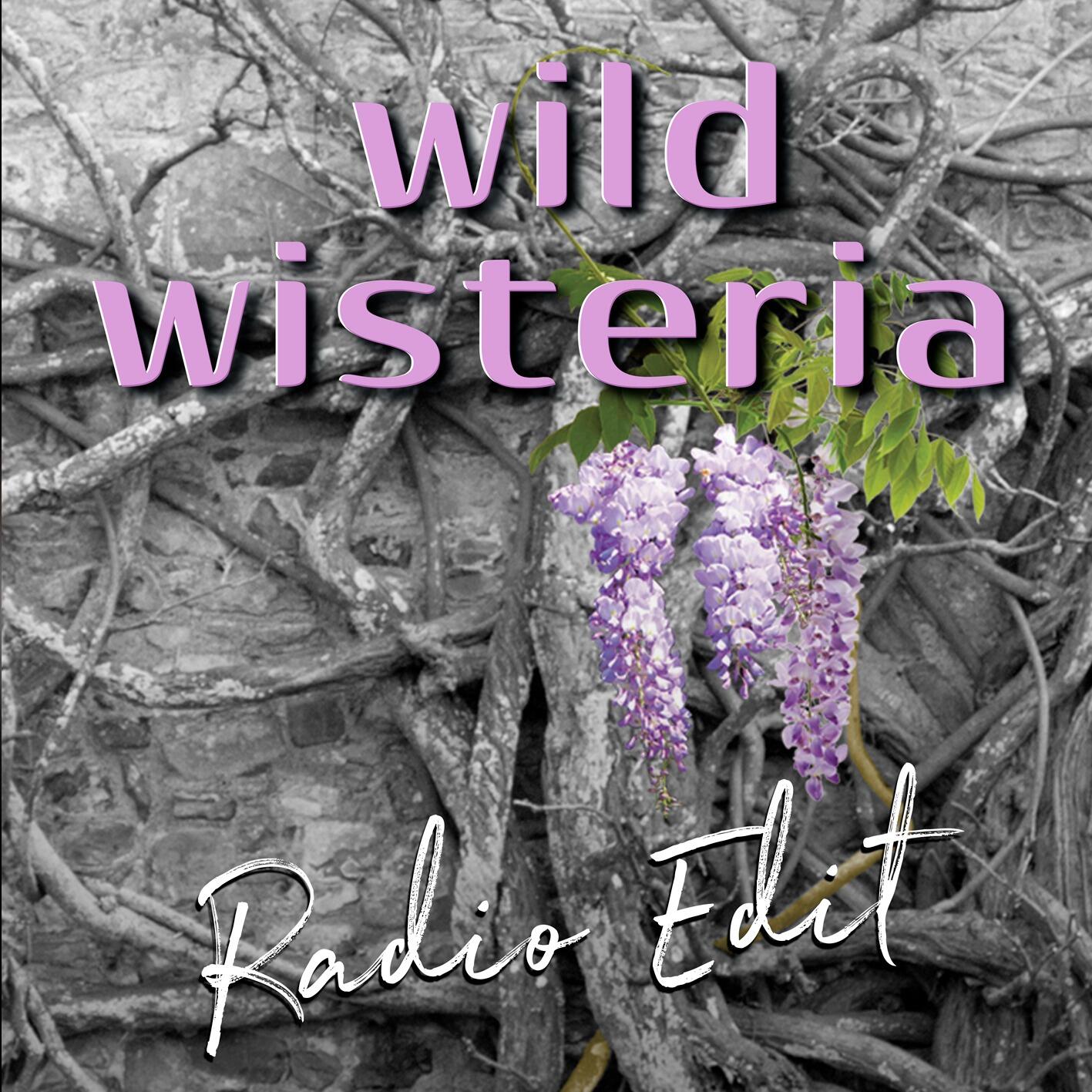 https://cdn.indiemusicreviews.net/images/authentic-and-spirited-indie-and-rock-fusions-wild-wisteria-amaze-audiences-with-self-titled-3rd-album-wild-wisteria.jpg