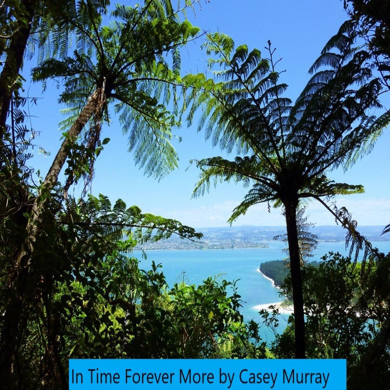 https://cdn.indiemusicreviews.net/images/casey-murray-welcomes-the-world-to-new-zealand.jpg