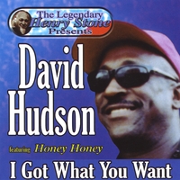 https://cdn.indiemusicreviews.net/images/david-hudson-i-got-what-you-want.jpg