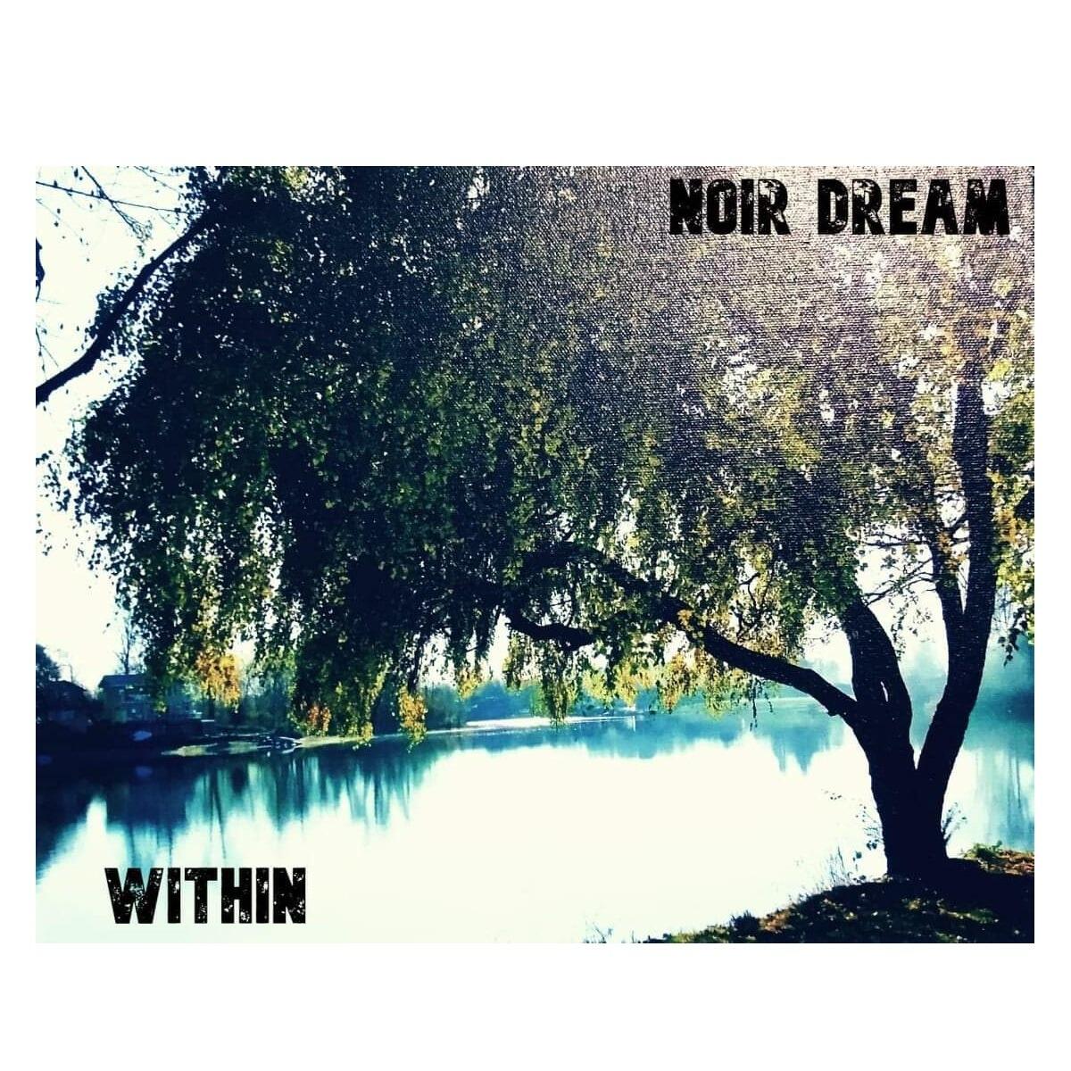 https://cdn.indiemusicreviews.net/images/developing-healing-and-kindling-hope-through-the-universality-of-rock-noir-dreams-6-track-ep-within-set-to-inspire-2.jpg