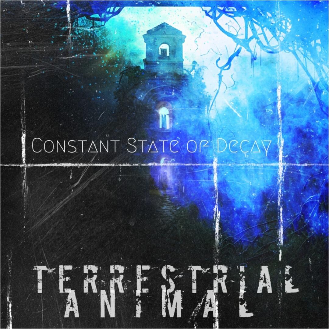 https://cdn.indiemusicreviews.net/images/experience-a-new-escape-from-reality-with-terrestrial-animals-sophomore-album-constant-state-of-decay.jpg