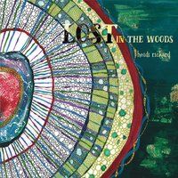 https://cdn.indiemusicreviews.net/images/heidi-rickard-delivers-pristine-pop-with-lost-in-the-woods.jpg