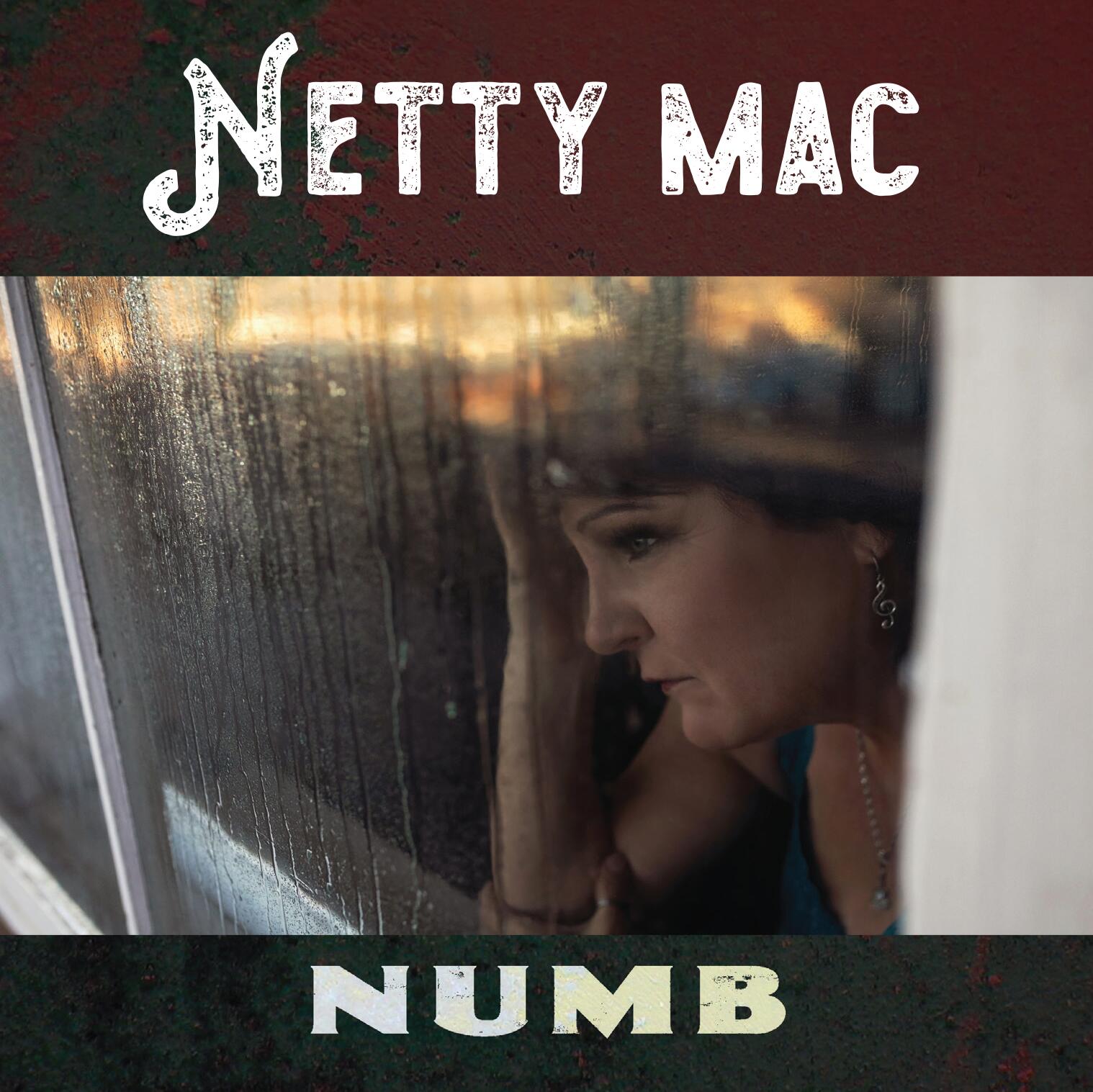 https://cdn.indiemusicreviews.net/images/illuminating-an-escape-from-the-chasms-of-depression-and-loneliness-country-artist-netty-mac-stuns-with-new-release.jpg