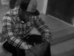 https://cdn.indiemusicreviews.net/images/joemoney405-croons.jpg
