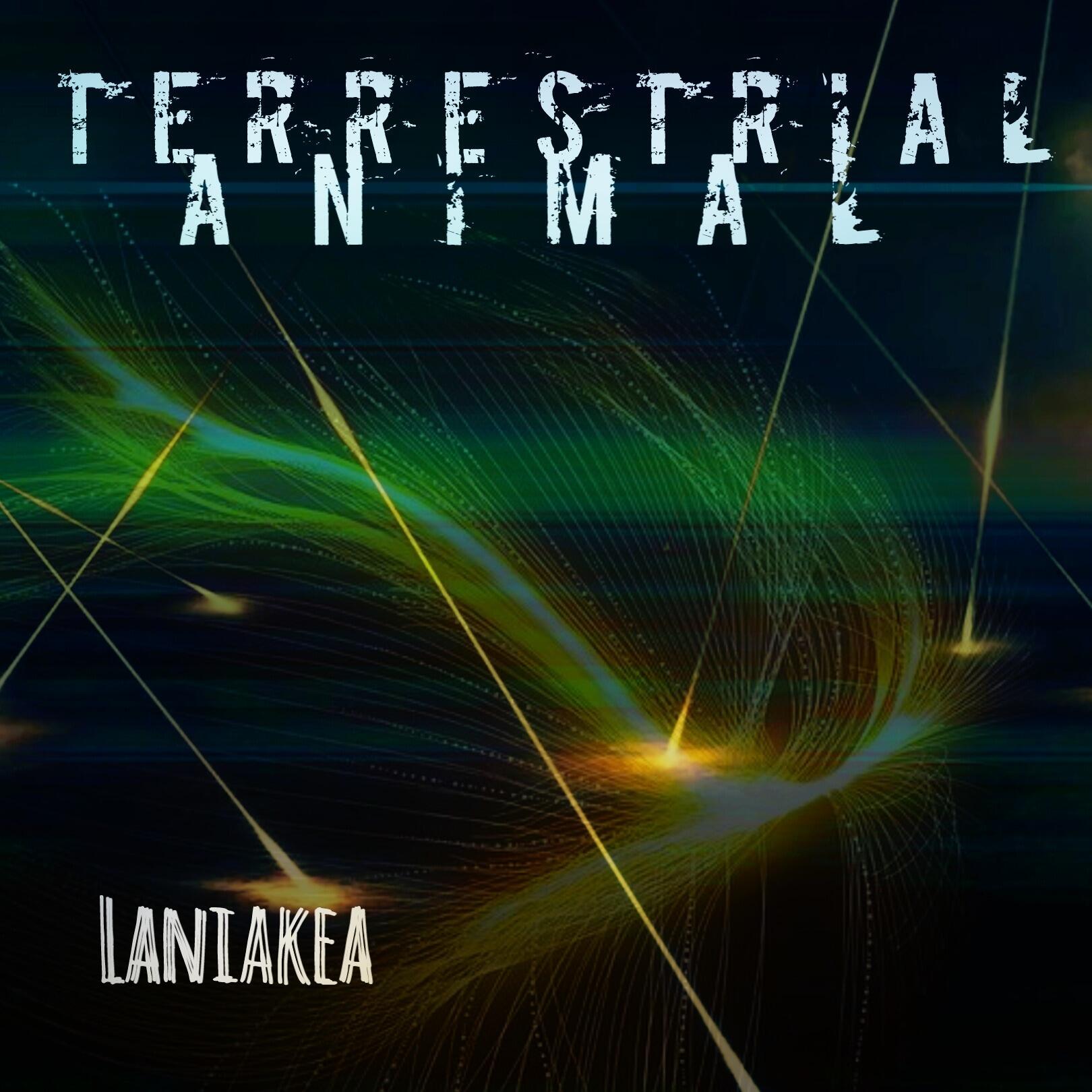 https://cdn.indiemusicreviews.net/images/let-your-mind-open-wide-and-consume-yourself-with-the-ambient-soundscapes-of-terrestrial-animal.jpg