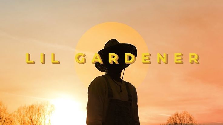 https://cdn.indiemusicreviews.net/images/lil-gardener-3-valuable-seeds-to-harvest-your-dream-life.jpg