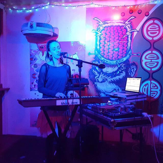https://cdn.indiemusicreviews.net/images/mesa-jane-this-is-how-the-meek-riot.jpg