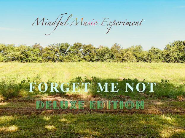https://cdn.indiemusicreviews.net/images/mindful-music-experiment-wows-with-forget-me-not-2.jpg