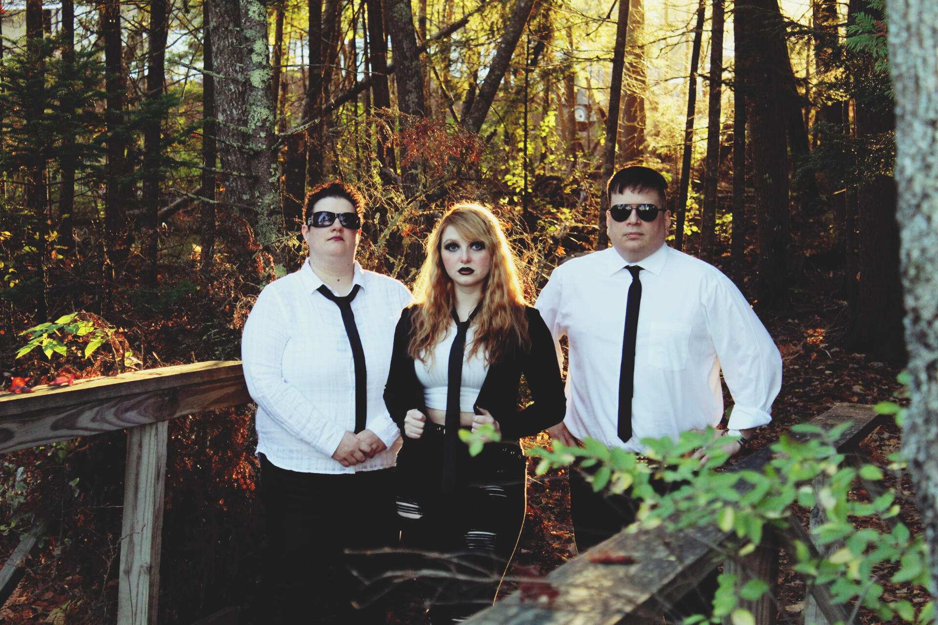 https://cdn.indiemusicreviews.net/images/new-exciting-single-from-alternative-band-vices-inc.jpg