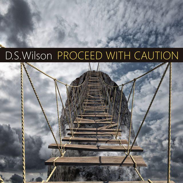 https://cdn.indiemusicreviews.net/images/new-single-from-d-s-wilson-just-released.jpg