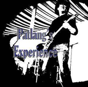 https://cdn.indiemusicreviews.net/images/patrick-lavigne-invites-everyone-to-patlangs-experience.jpg