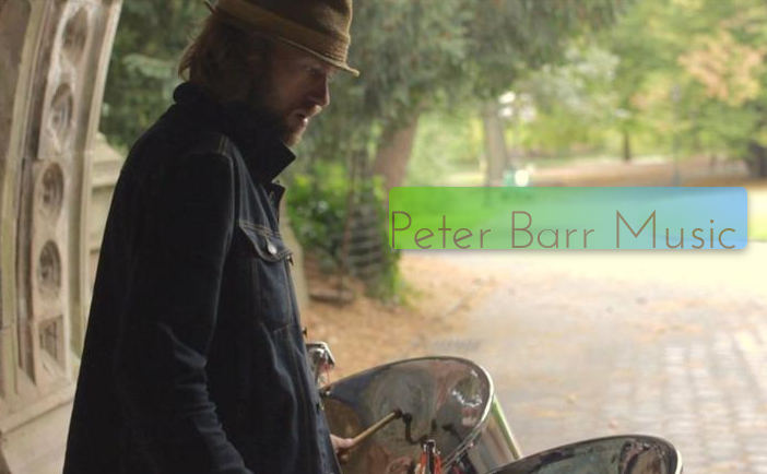 https://cdn.indiemusicreviews.net/images/peter-barrs-percussion-passion.png