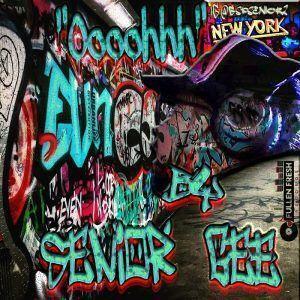 https://cdn.indiemusicreviews.net/images/senior-gee-merges-new-age-hip-hop-with-his-latest-single-oooohhh.jpg