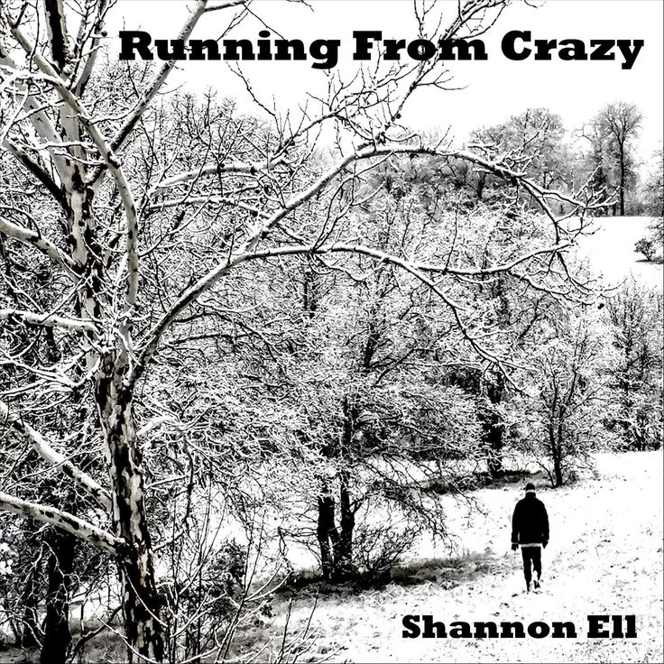 https://cdn.indiemusicreviews.net/images/shannon-ell-brings-it-with-solid-debut-album.jpg