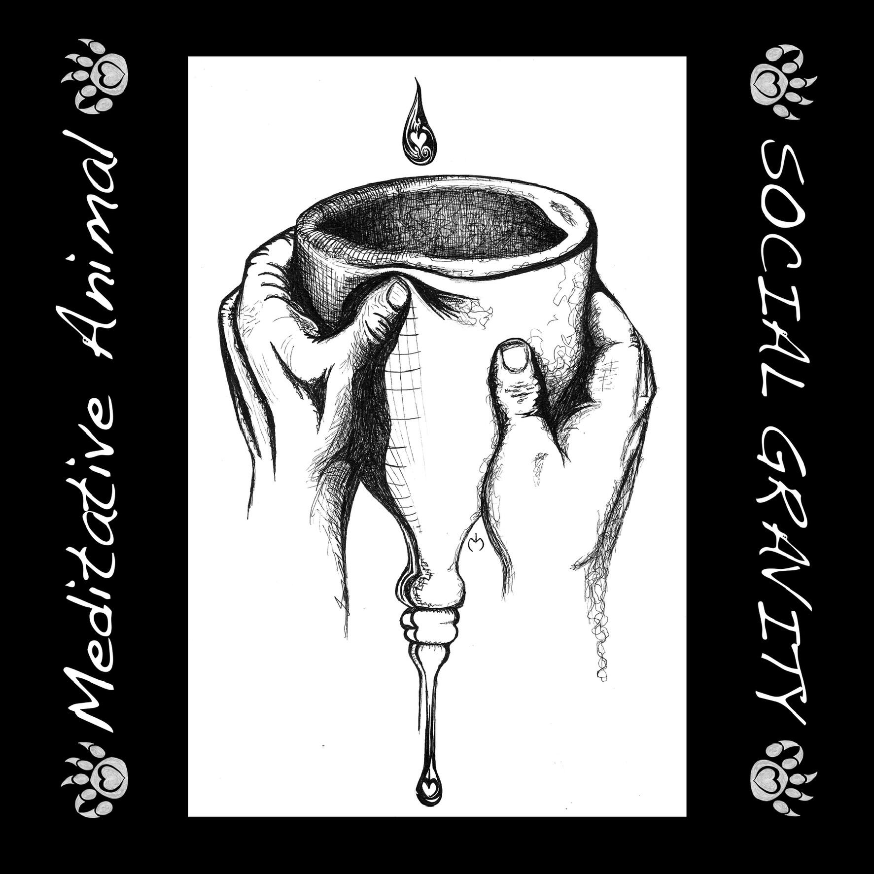 https://cdn.indiemusicreviews.net/images/soothing-tunes-delivering-insights-to-soul-woke-musical-genius-meditative-animals-new-album-social-gravity-out-now.jpg