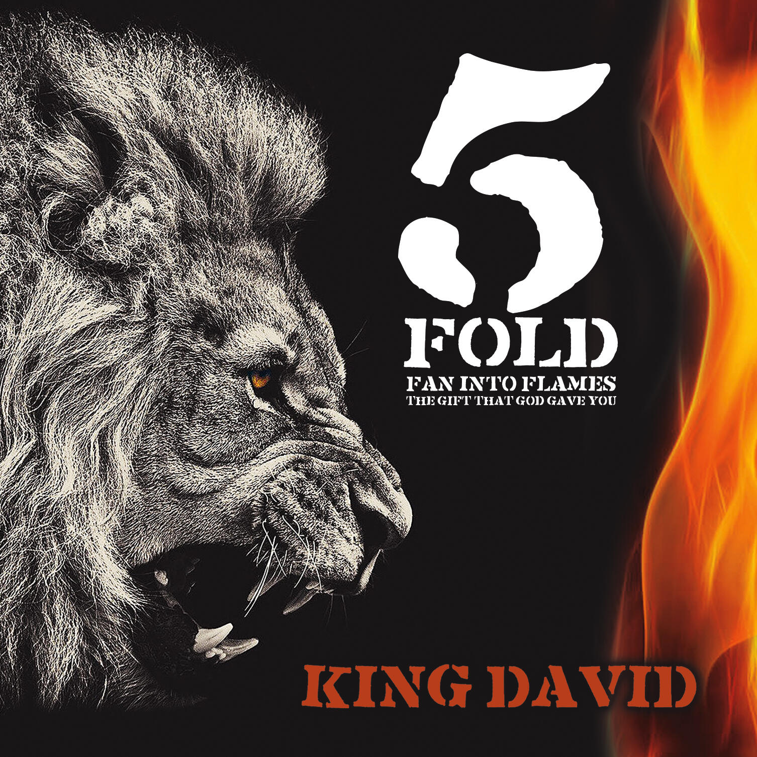 https://cdn.indiemusicreviews.net/images/spiritual-awakening-through-soul-and-hip-hop-fusions-king-david-unveils-new-album.jpg