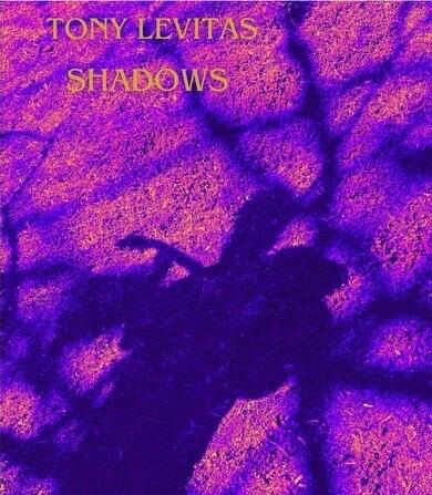 https://cdn.indiemusicreviews.net/images/talented-artist-tony-levitas-triumphs-with-new-album-shadows-following-near-death-experience.jpg