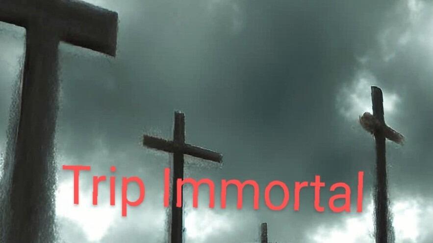 https://cdn.indiemusicreviews.net/images/where-riveting-becomes-revolutionary-trip-immortal-presents-blend-of-christian-faith-metal-and-hip-hop.jpg